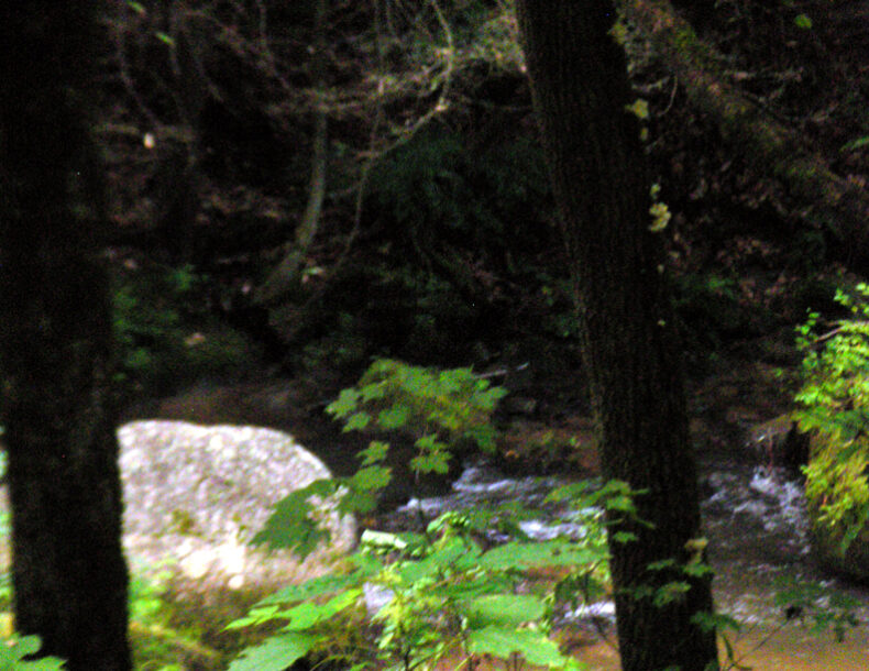 2008 Grand Opening of the Mindful Ecotherapy Center