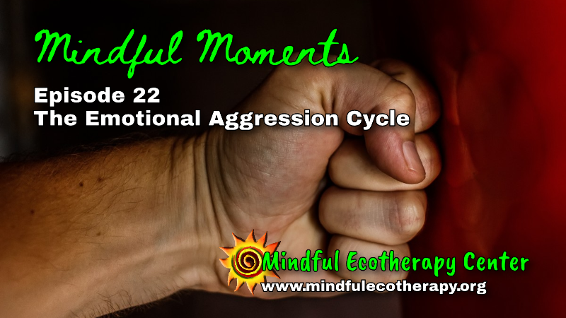 Mindful Moments – The Emotional Aggression Cycle