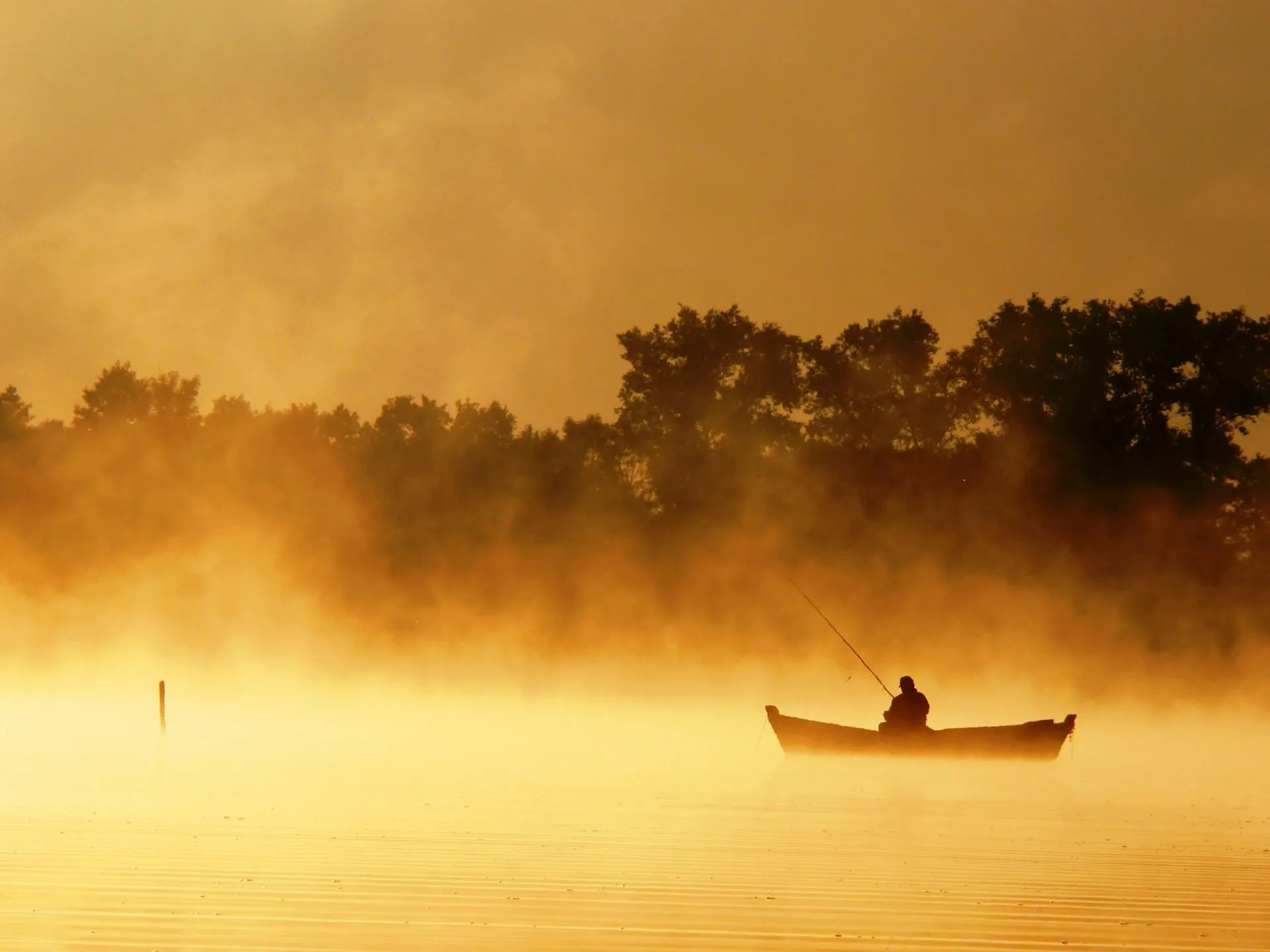 Learning to be Mindful: The Fisherman and His Son